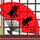 侠客行